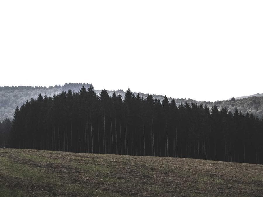 GRADEON before and after — after, frame 1